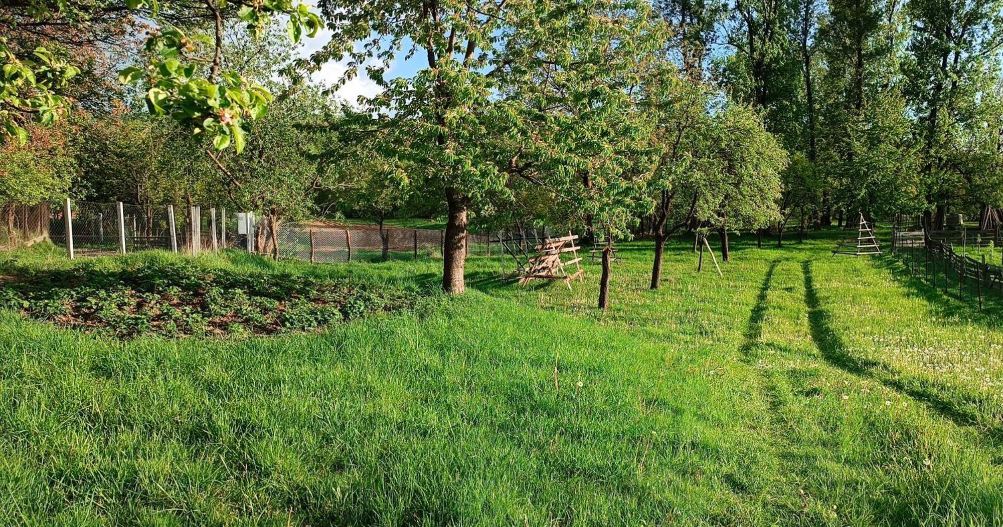 Casa De Vacanta Alina Prundul Birgaului Exterior photo
